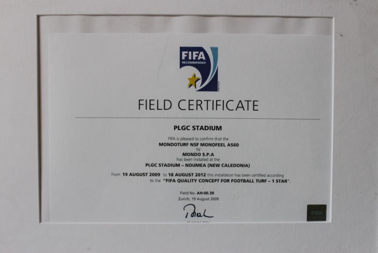 FIFA CERTIFICATE